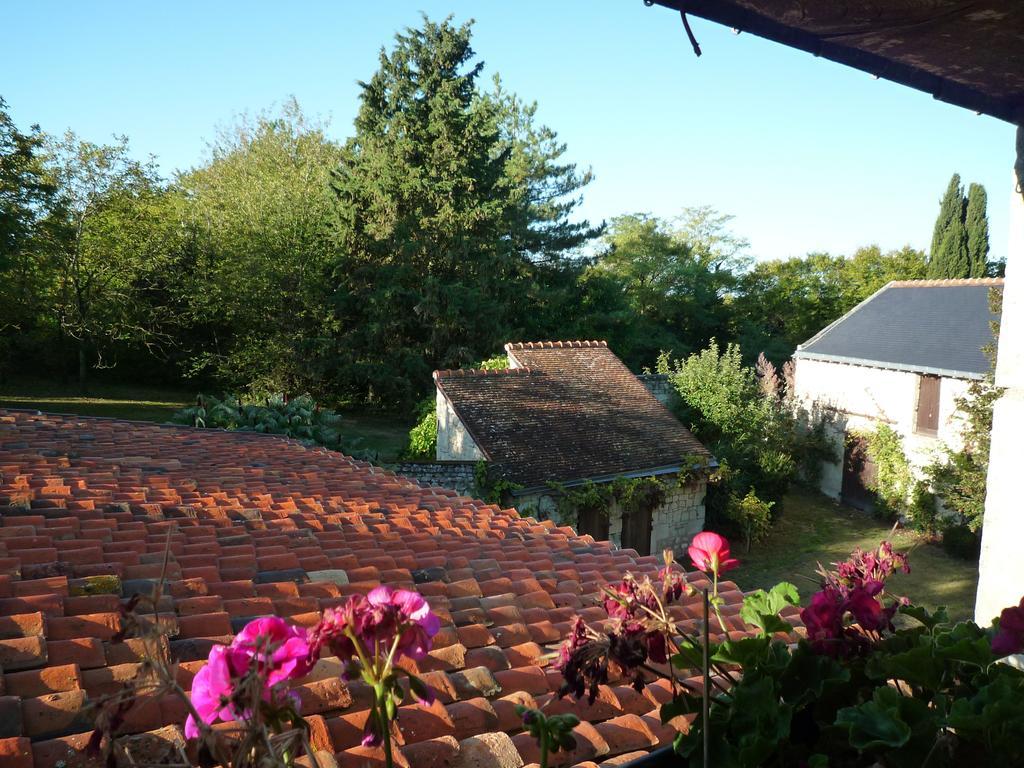 Bed and Breakfast Le Logis Du Peu Girard La Roche-Clermault Номер фото